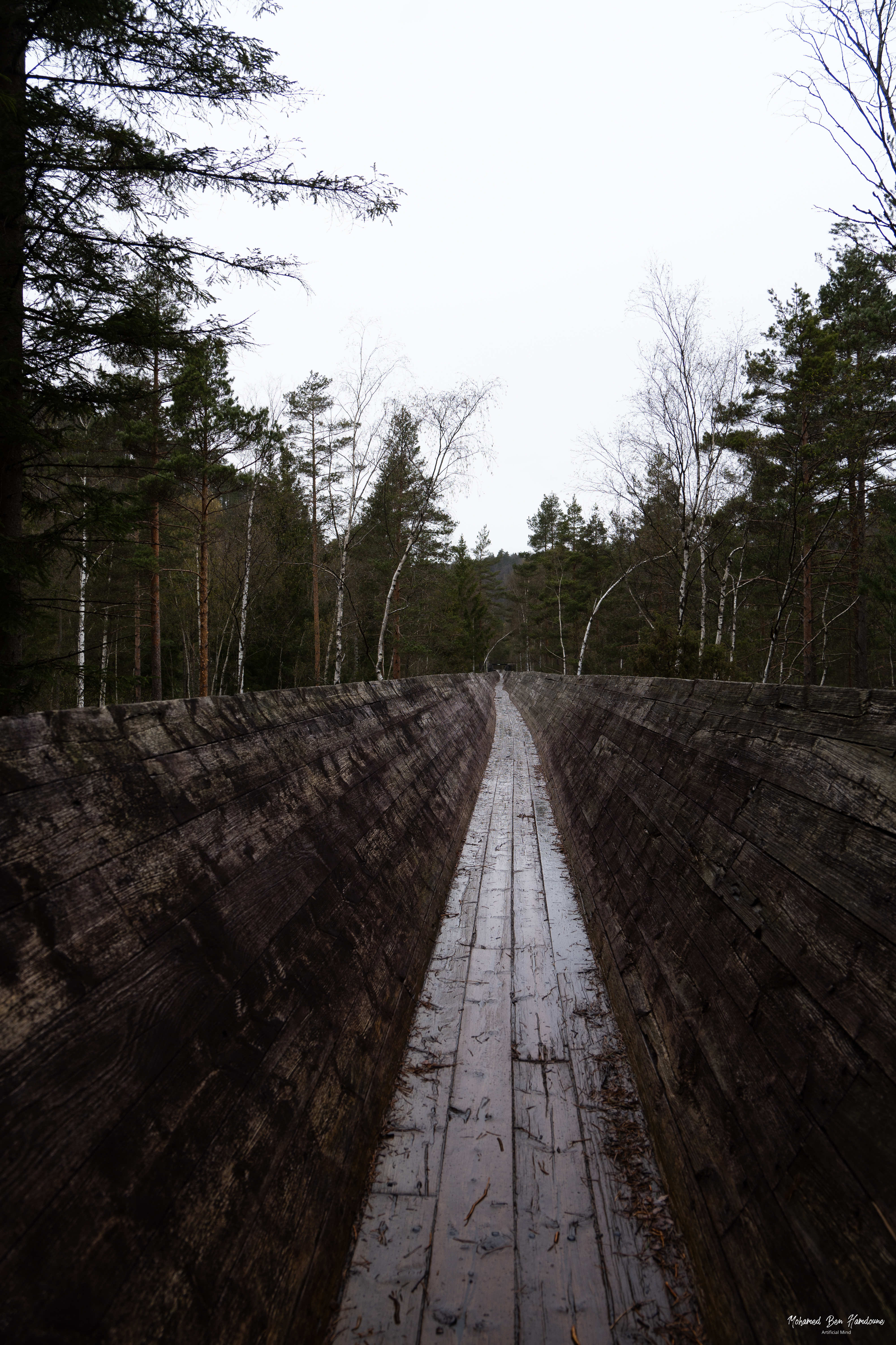 Bridge Over Vennesla Log Flume