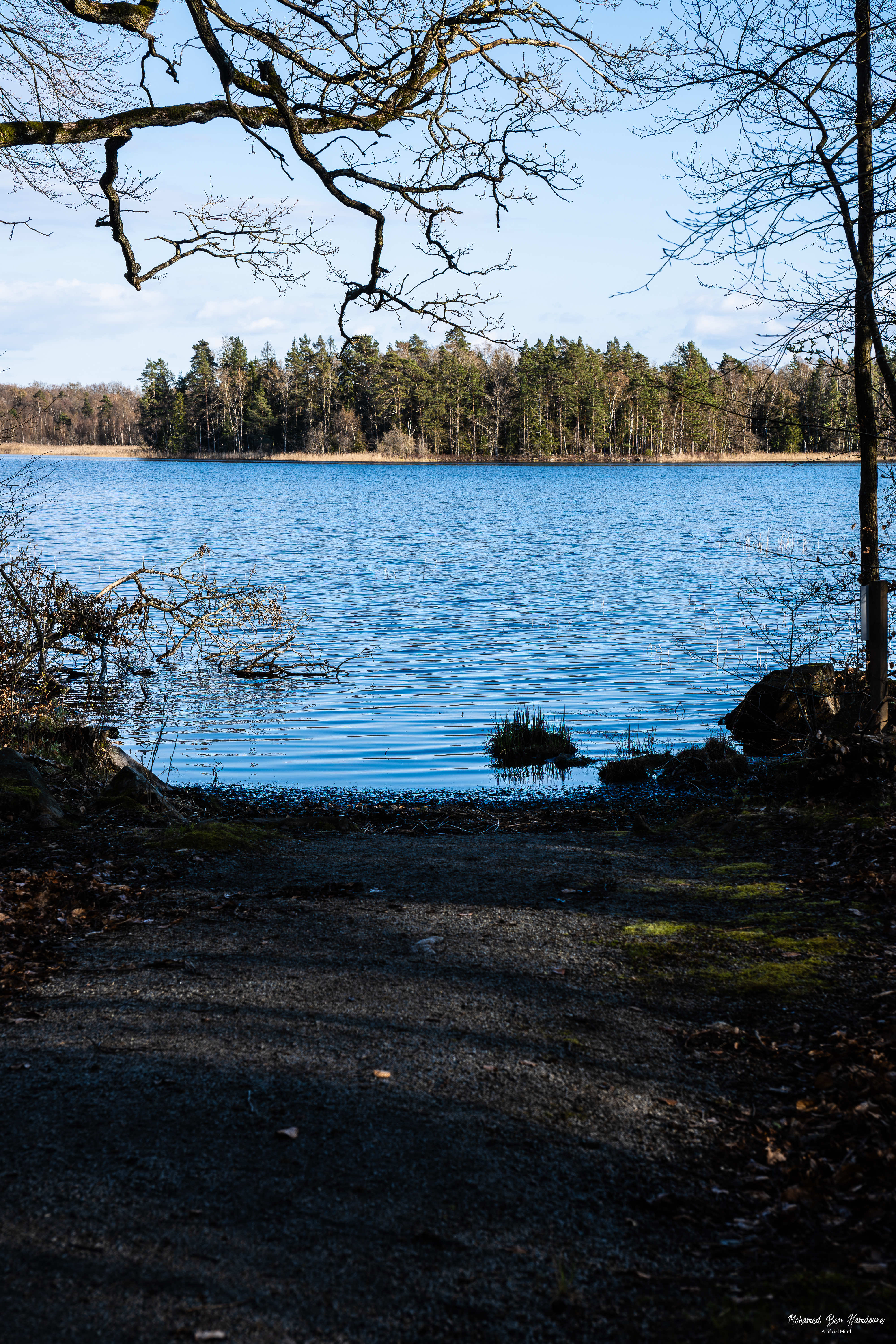 Åsnen Lake on a sunny day