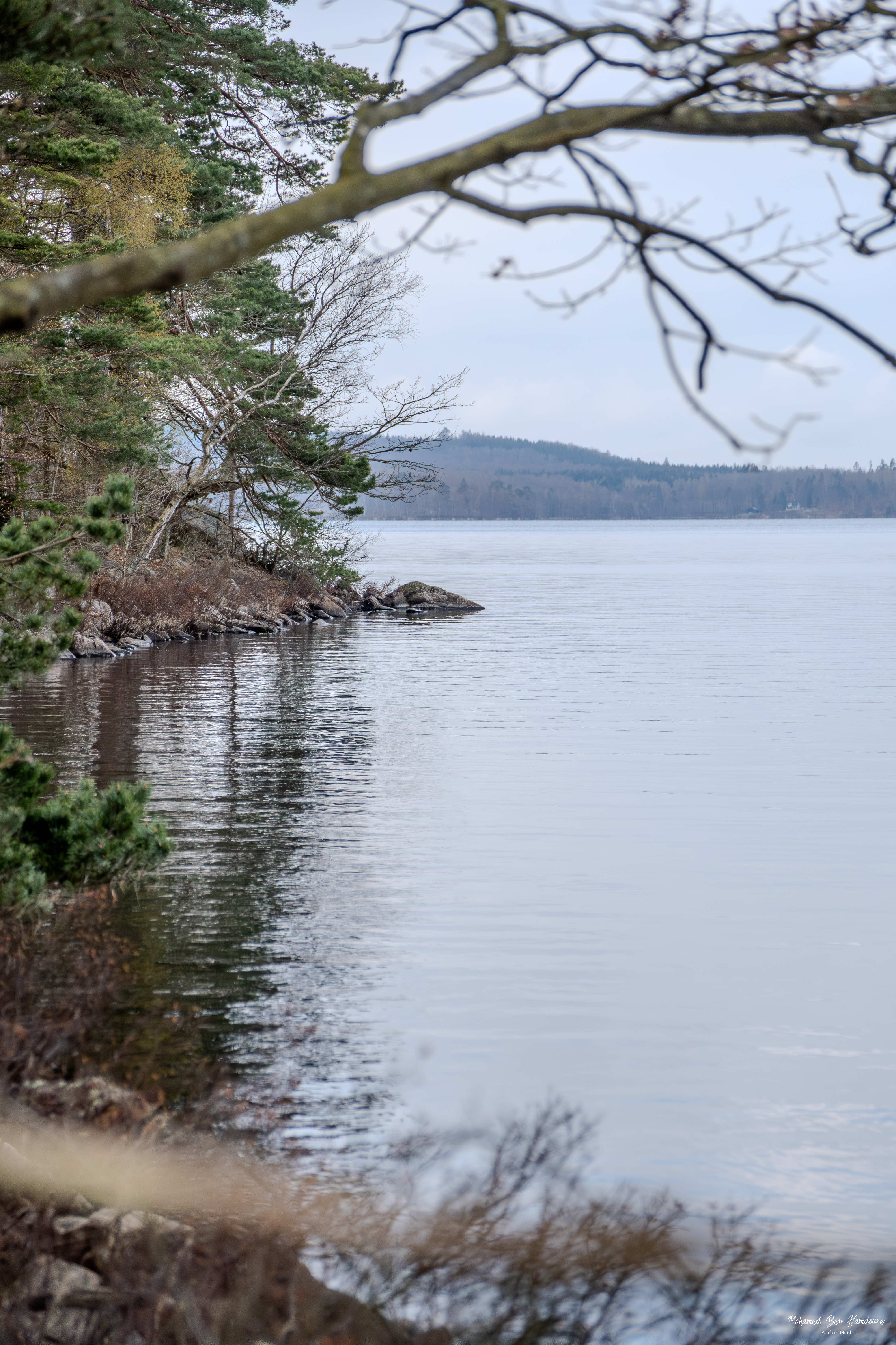 Immeln Lake Shoreline