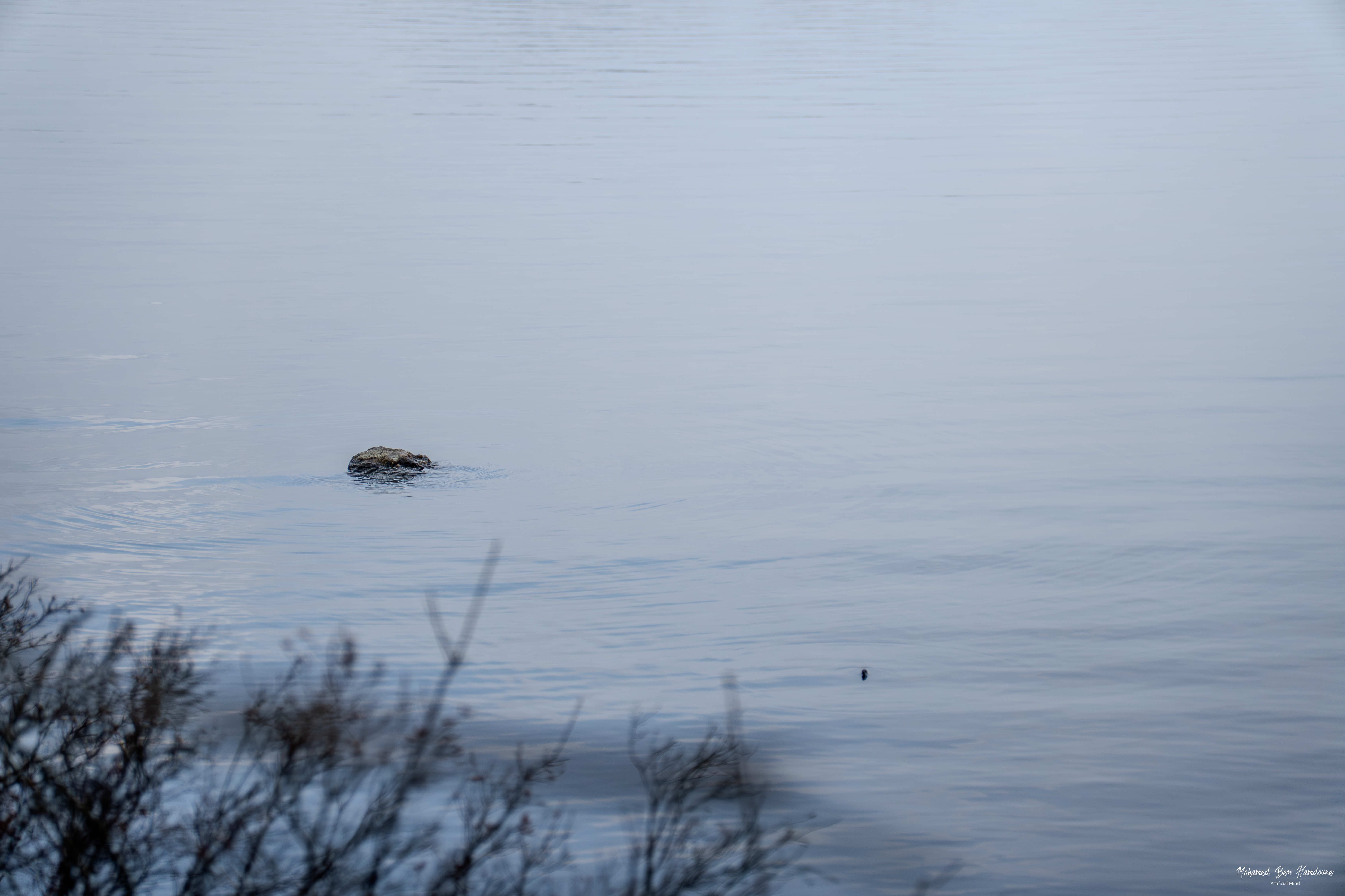 Calm Waters of Immeln