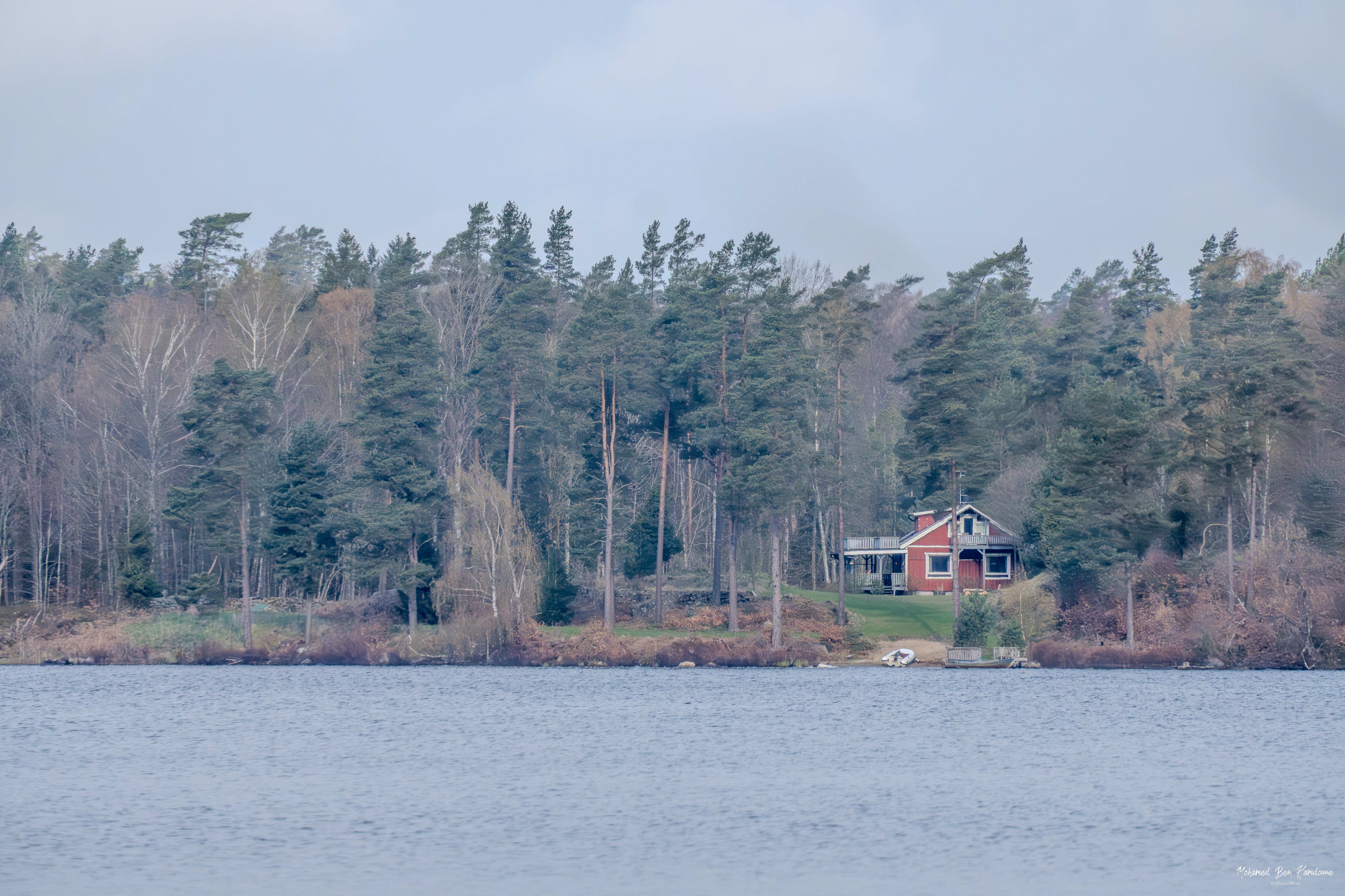 Distant Cabin Across Immeln