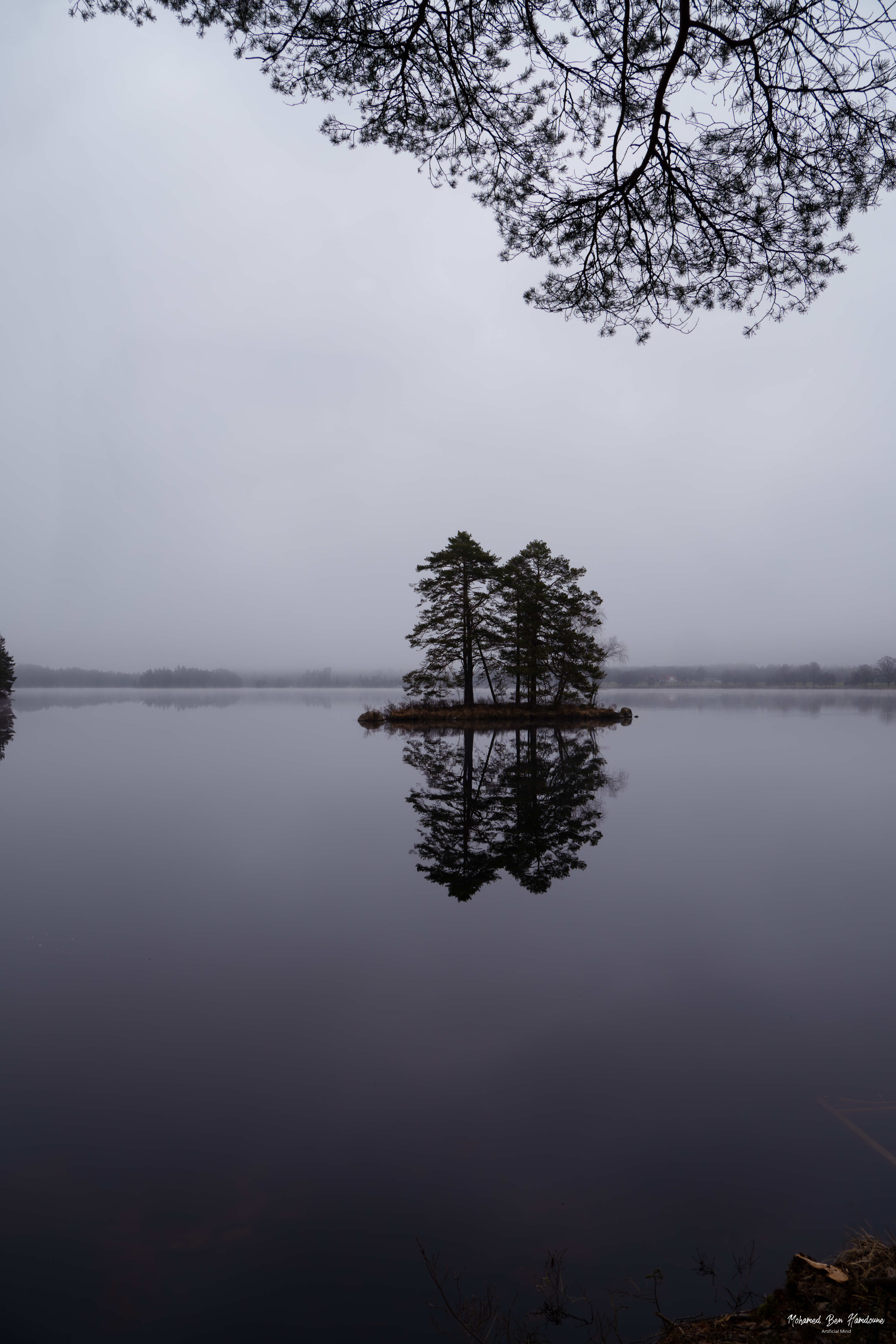 Early morning mist over Immeln Lake