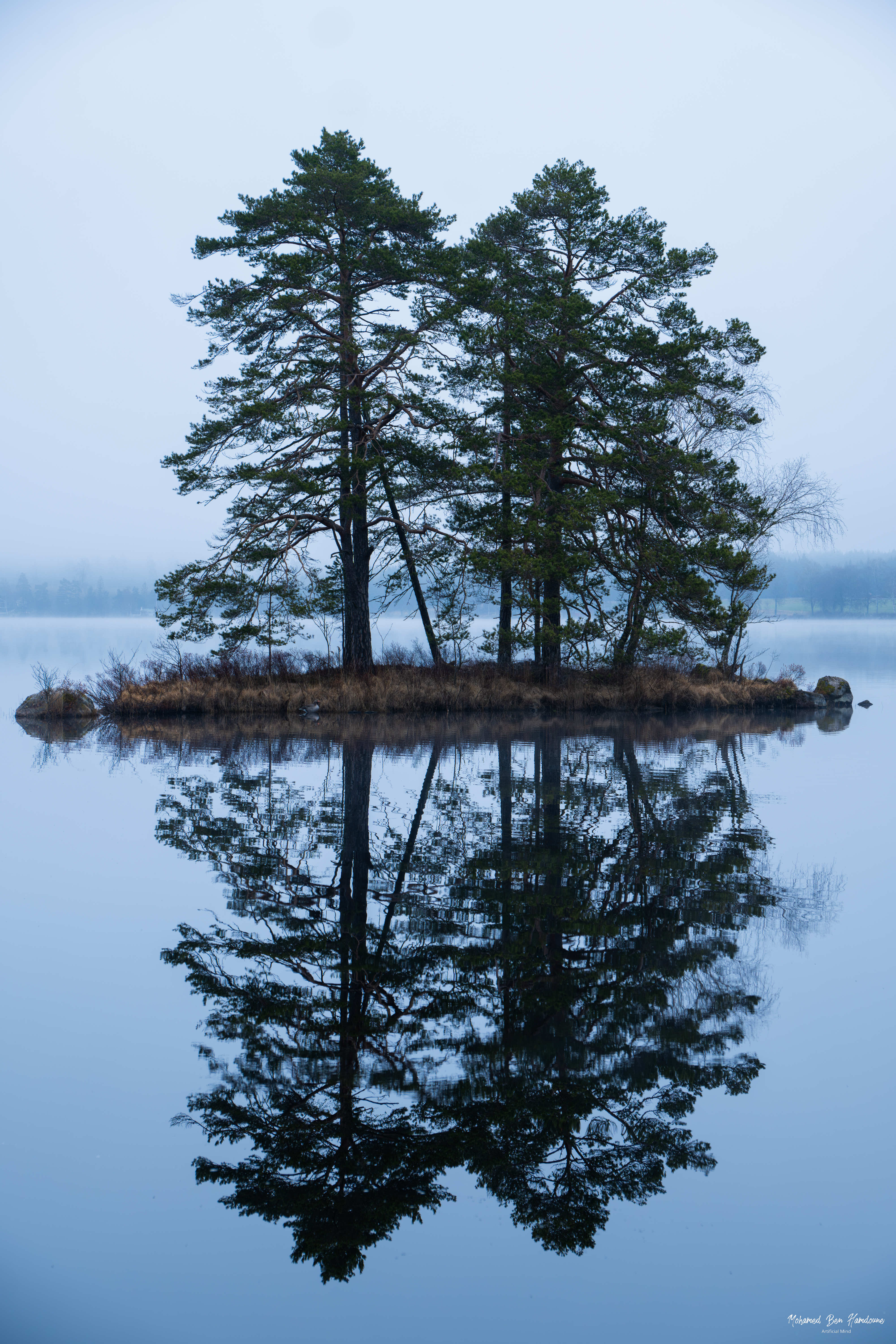 Reflection of trees on Immeln Lake