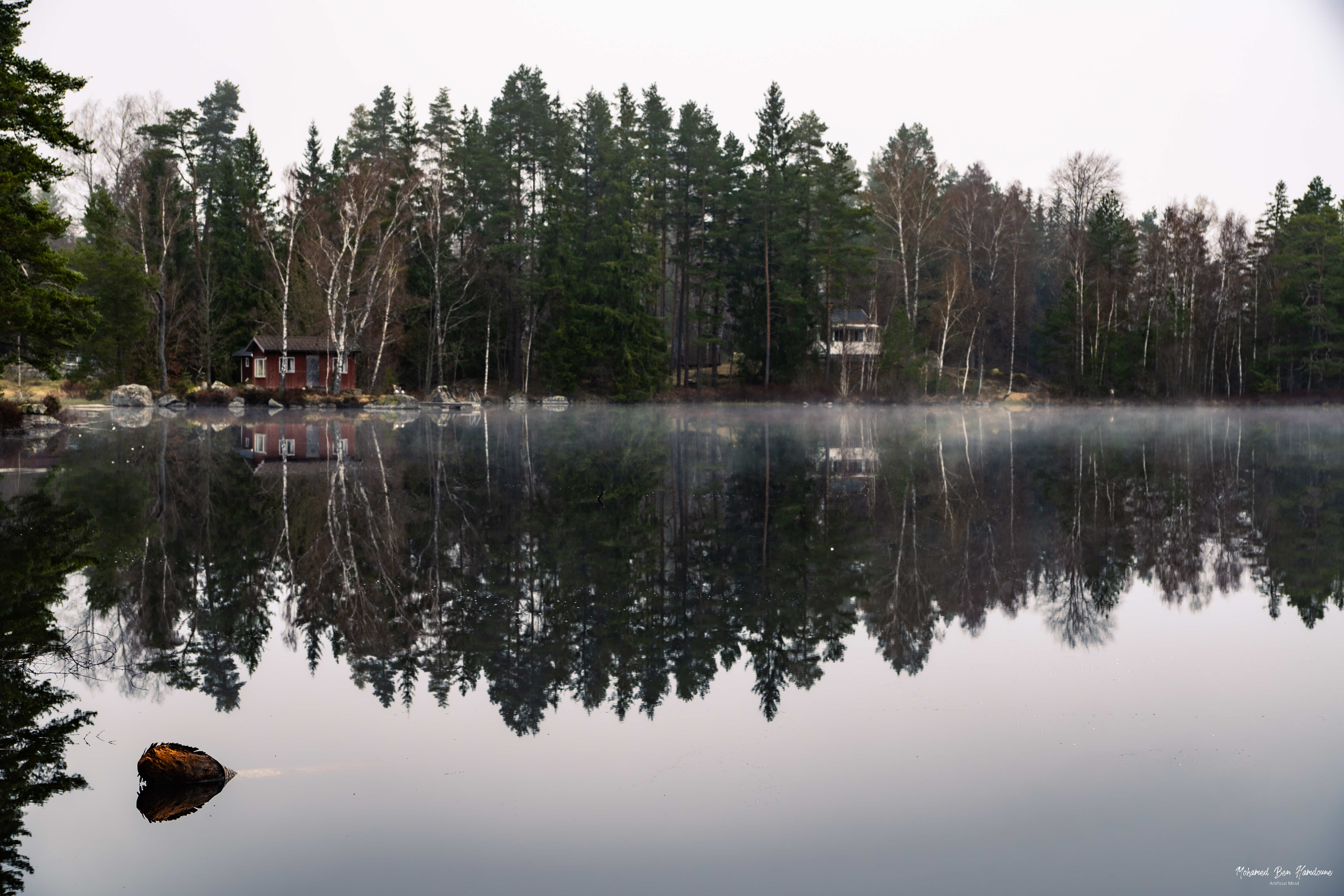 Sunlight breaking through morning fog at Immeln Lake